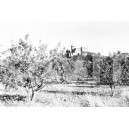 Castelldefels 40 x 60